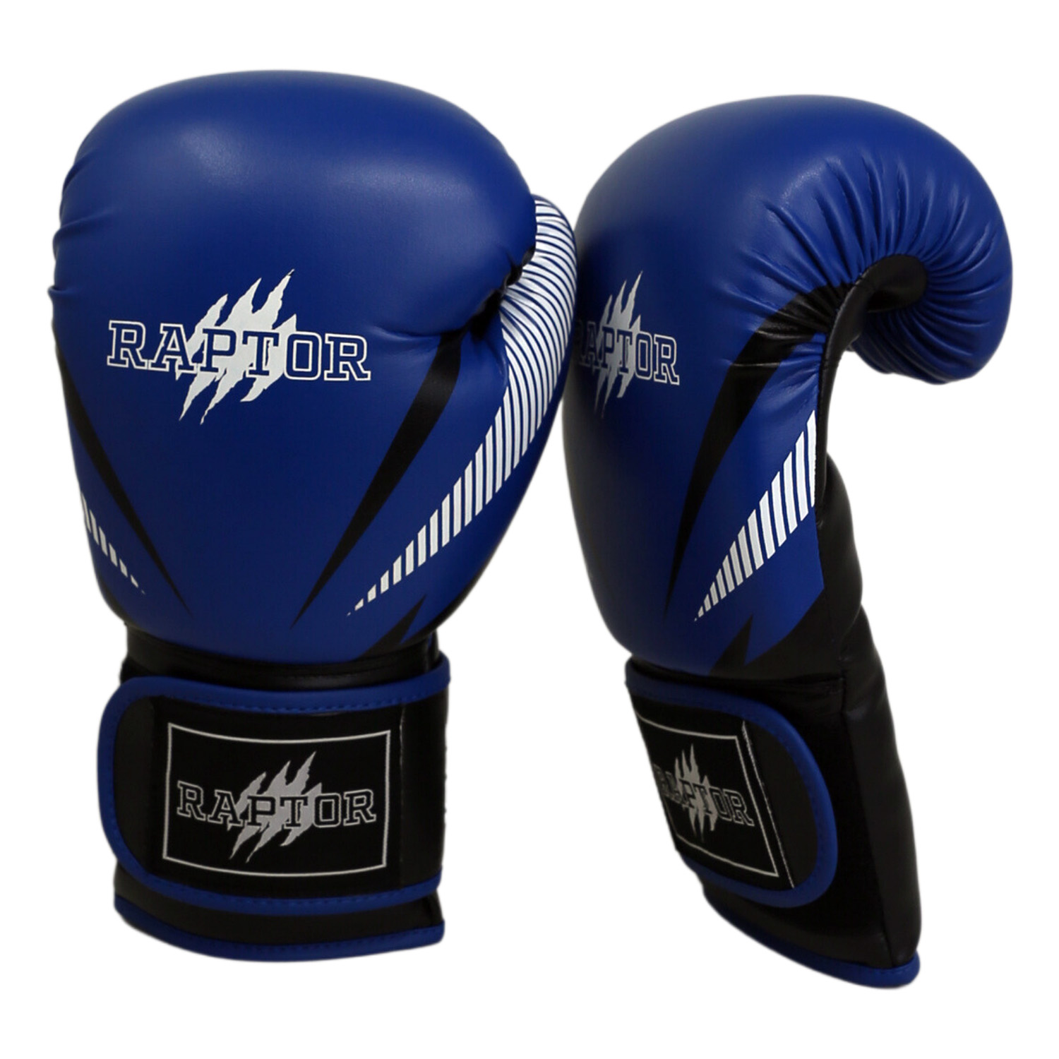 Raptor R2 Boxing Gloves