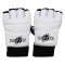Raptor Taekwondo Gloves