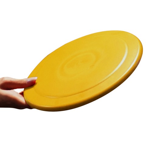 Helix Frisbee